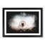 Dandelion Paint Splash - Framed Print-56915763-56915764