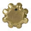 Plaque murale succulente D10X1,6 "