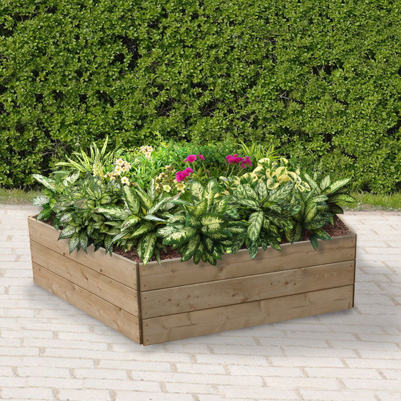 Pentagonal Raised Bed - 120cm each side, Height 45cm