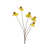 Yellow selected