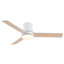 Ventilateur de plafond 48 po avec lumière Lowe-510509335-509271609