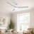 Brend 52'' Ceiling Fan with LED Lights-762079137
