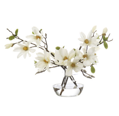 Real-Touch Magnolia, White, Glass Vase, 25wx17dx17h