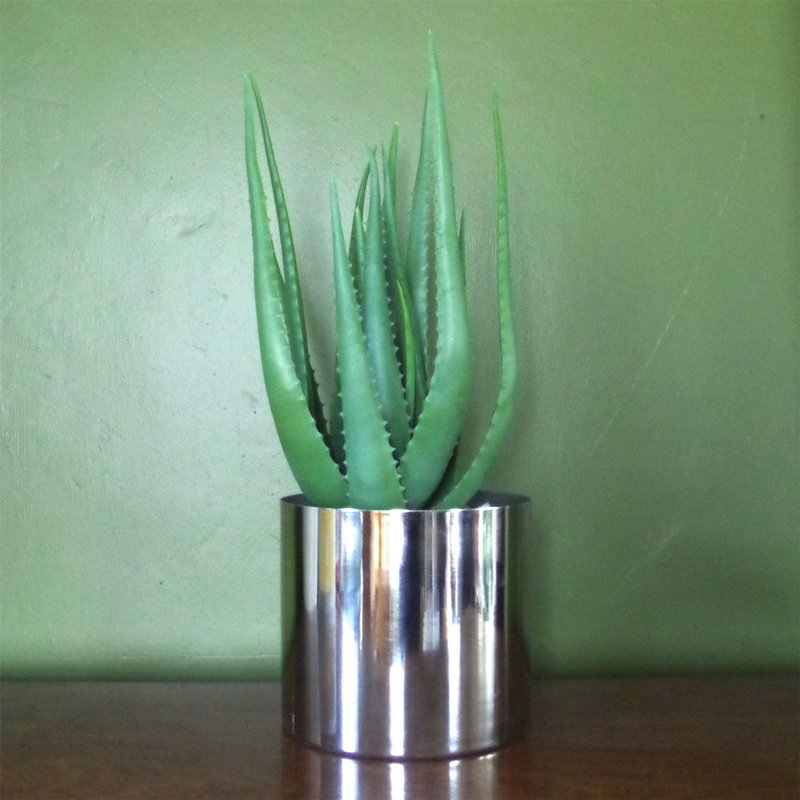 139.7cm Faux Succulent Plant in Pot Liner