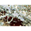 Hand Woven Wool Abstract Area Rug-65382638
