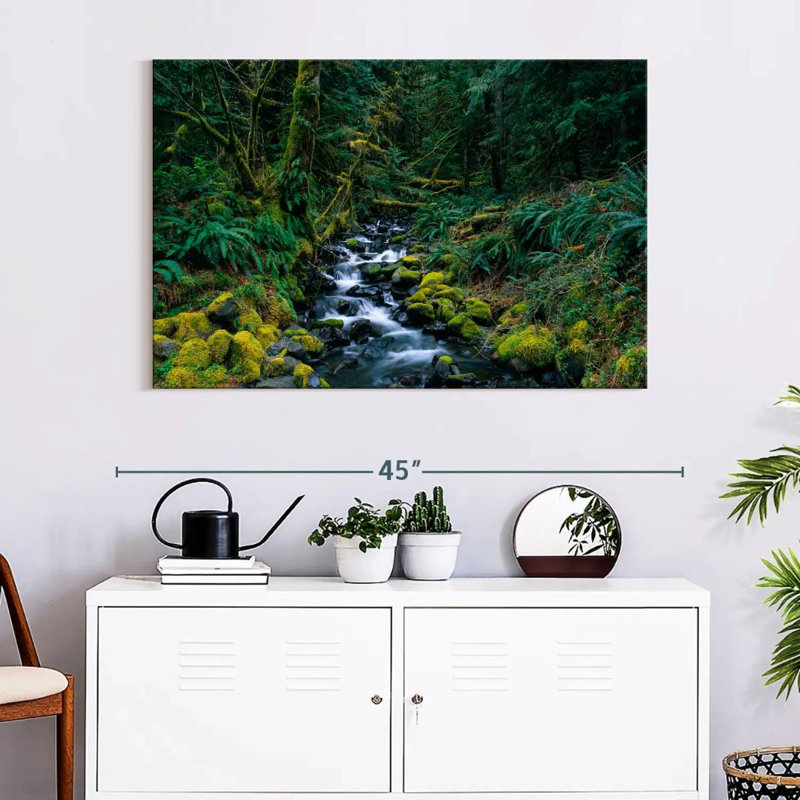 Alvord Olympic National Park Stream, 26" H x 39" W