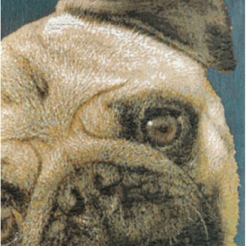 Pug Face Blue Cotton Euro Cushion Cover
