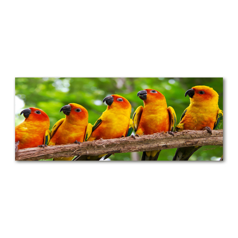 Parrots On The Branch - No Frame Print on Glass, Wrapped Canvas, 70cm H x 140cm W x 2cm D