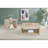 Square Engineered Wood Coffee Table