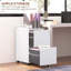 Aldrin 2 Drawer Filing Cabinet-967989116
