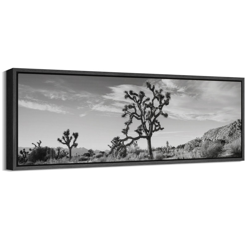 «Cactus Desert», impression sur toile encadrée, H 20 po x l 60 po, Noir, noir, noir, noir
