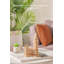 Syntego Wood Paint Kit
