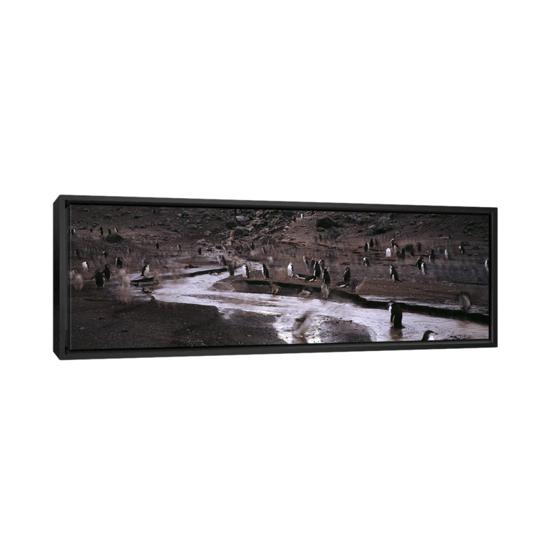 Reproduction de photo panoramique sur toile, H 12 po x l 36 po x P 1,5 po, Toile avec cadre noir