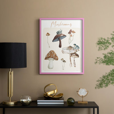 Tableau de champignon, reproduction encadrée - bois massif