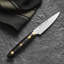 Zwilling Bob Kramer Carbon 2.0 3.5-inch Paring Knife
