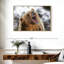 Grizzly rugissant-2100012828-2100012827