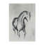 Gray Stallion I Print by Jacob Lincoln-26762936-26762941