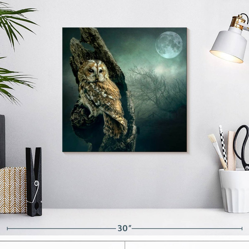 Chouette des marais la nuit, H 16 po x l 16 po