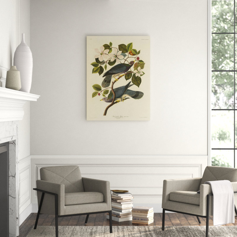 Band Tailed Pigeon Print by James Audubon, Outdoor
