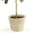 Tarik 19.5'' Faux Olive Tree Tree in Ceramic Pot
