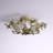 Noran 5 - Light 20.5" Semi Flush Mount