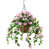 Rose sélectionné
