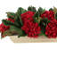 Beaverton Magnolia Faux Floral in Planter-1044821974