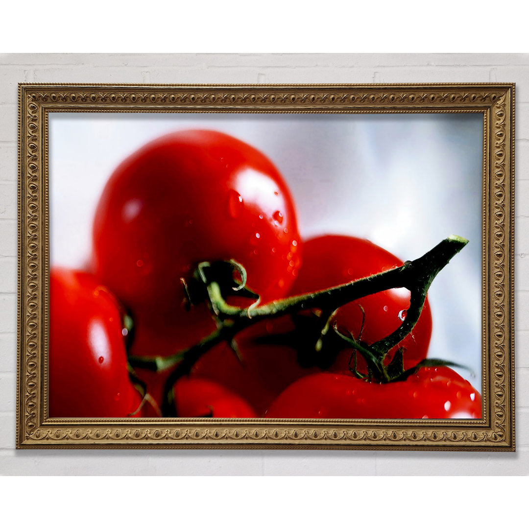 Cherry Tomato Vine - Einzelner Bilderrahmen Kunstdrucke