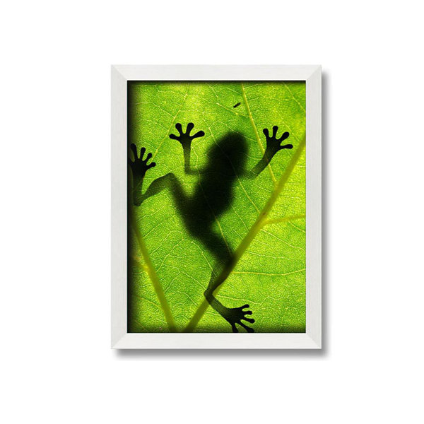 Making Frog Shadow Latitude Run Murilda Frog Shadow - Single Picture Frame Art Prints ...