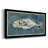 " Deep Sea Swimmer I "-1175381575