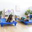 Lit de bébé empilable ECR4Kids, prêt à assembler, taille pour tout-petit, mobilier de classe, bleu, paquet de 6-129418000-88293593