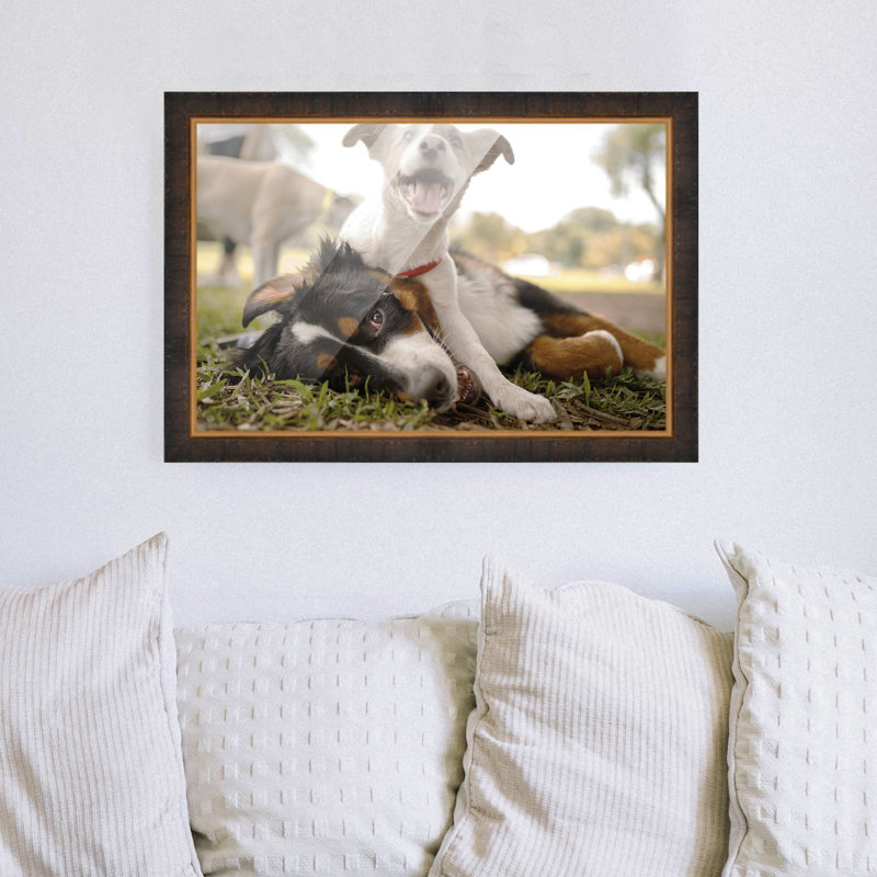 Cadre photo Zelene, Brun, L 12 po x H 18 po