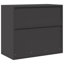 Storage Cabinet-10831054
