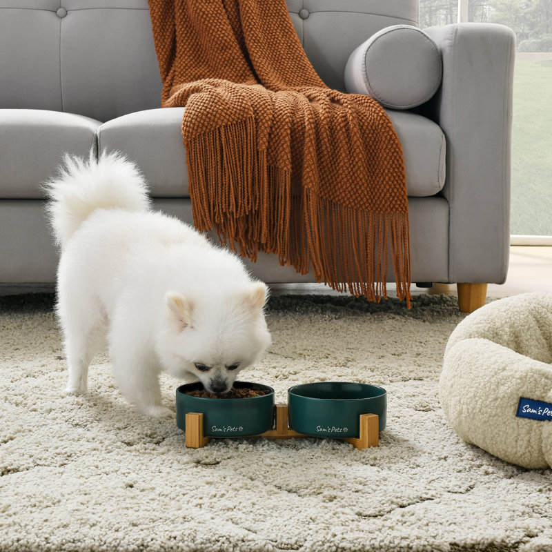Coco Pet Bowl, Green