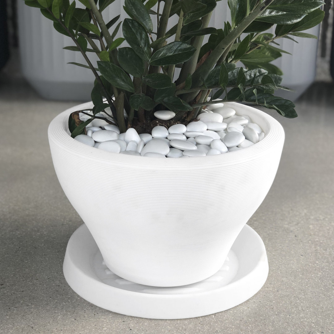 Circular Universal Round Planter Saucer