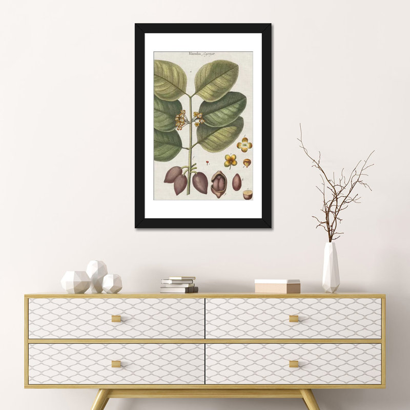 « exotic botanique ii », reproduction d’impression sur toile tendue, H 32 po x l 24 po x P 1 po, Papier d'art encadré noir