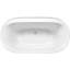 Spectacle 65.75-in x 34.25-in Freestanding Bath