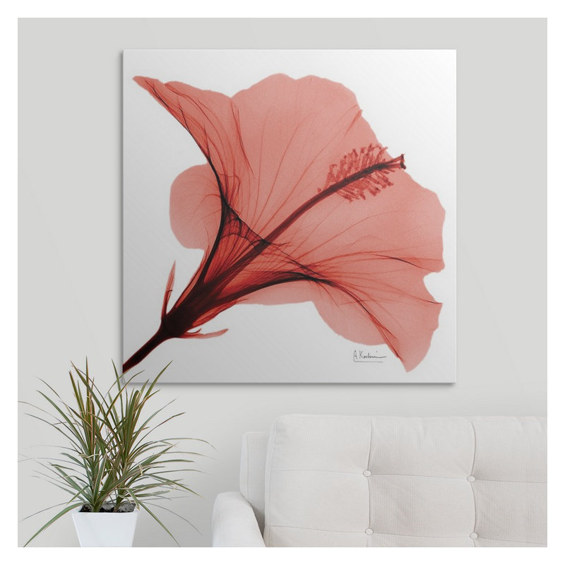 «Manigault», Hibiscus X-Ray par Kiranjit, reproduction de photo, H 30 po x l 30 po x P 1,5 po, Toile