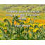 Latitude Run® Gallery Wrapped Canvas By Phil Donahue: "Suicide is a permanent solution to a temporary-825630812