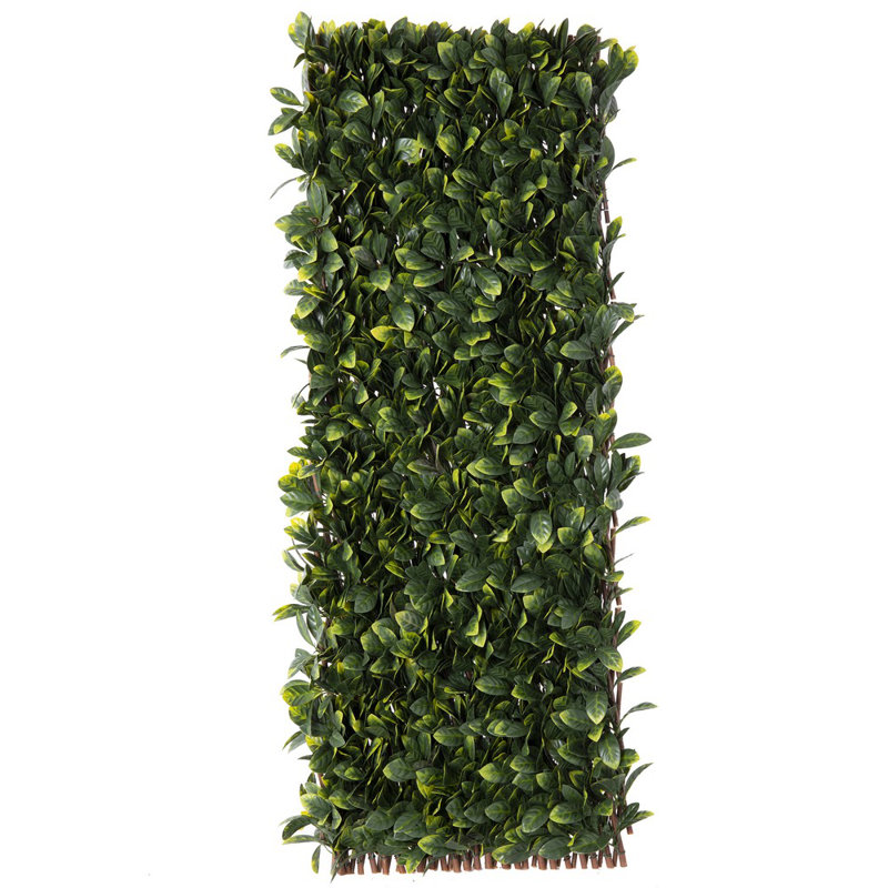 Madchen 200cm H x 100cm W Vinyl Expanding Trellis