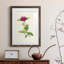 «Pretty Botanicals II», cadre photo-341834855-341834848