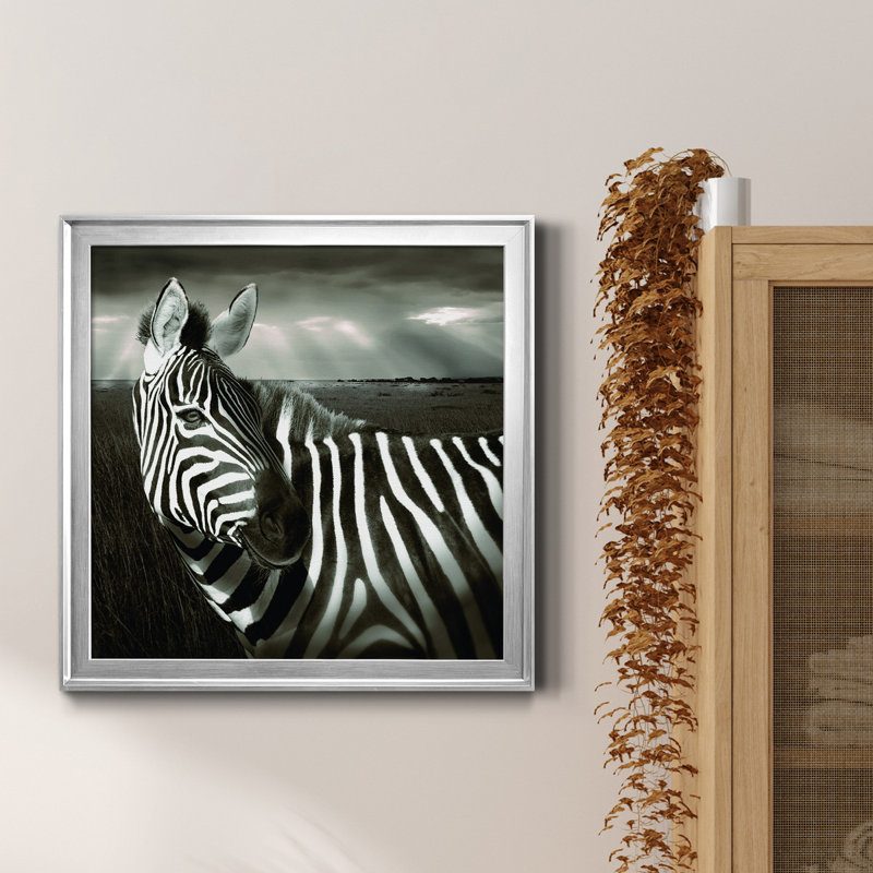 Zèbre au Kenya - Cadre photo, impression sur toile, Encadrement argenté, H 17,5 po x l 17,5 po x P 1,5 po