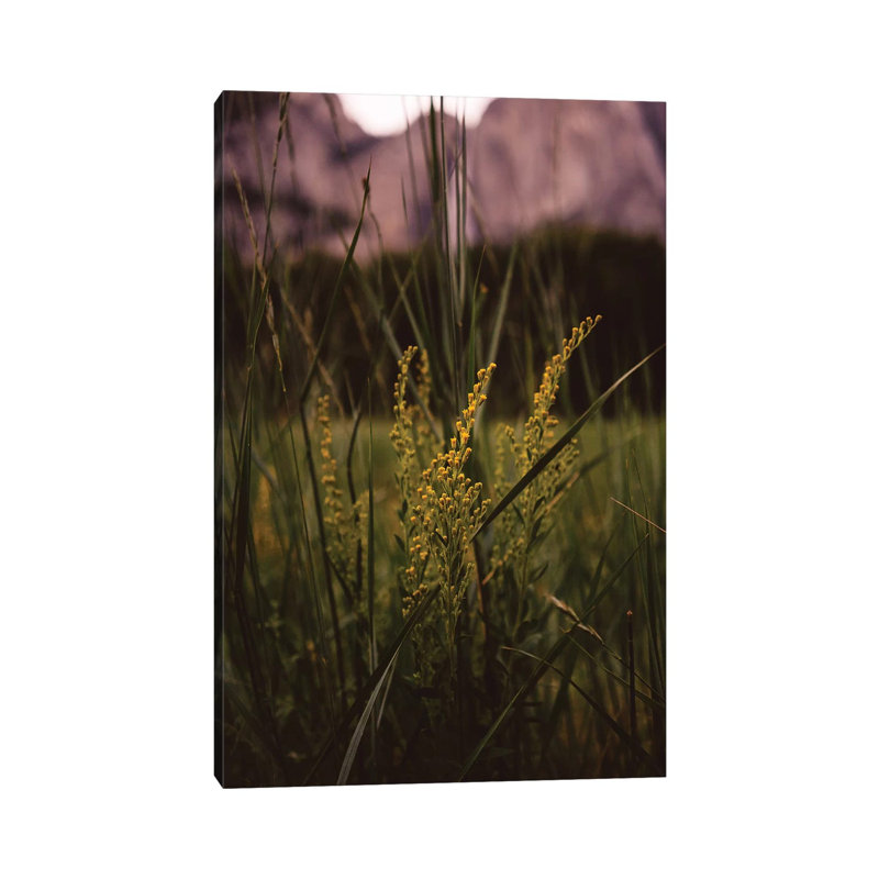 Yosemite Valley II by Bethany Young - Print on Canvas, 101.6cm H x 66.04cm W x 3.81cm D, Wrapped Canvas