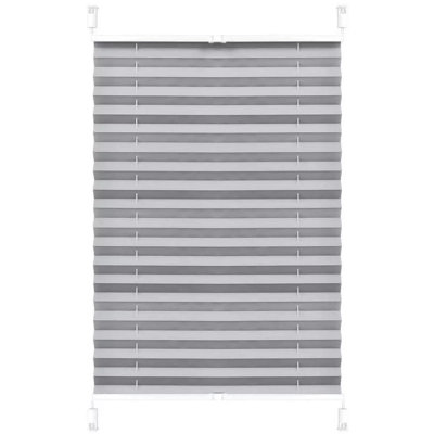 Semi Sheer Pleated Shade