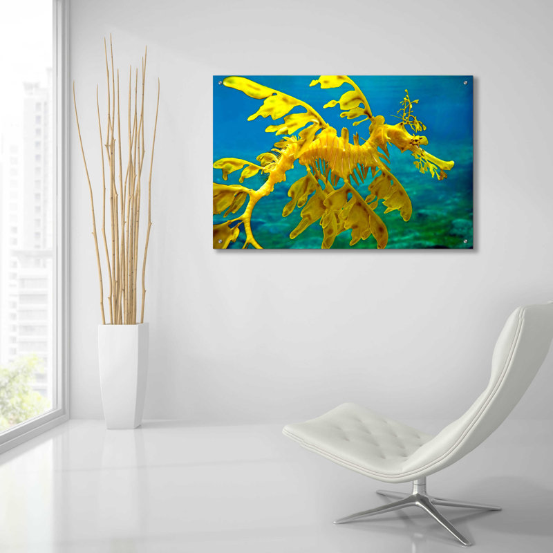 Sea Dragon par Mike Jones - impression sans cadre, L 36 po x H 24 po
