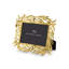Olive Branch Frame 5 x 7