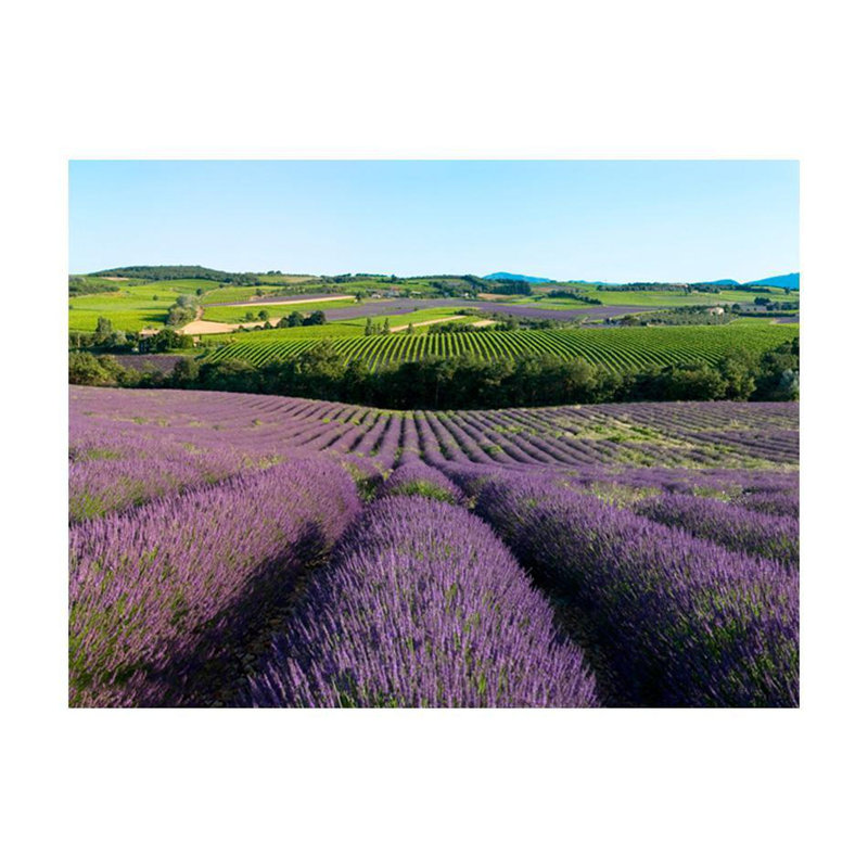 Wall Mural, 121" L x 157" W