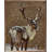 Reindeer Brown Looking Right-1877814525