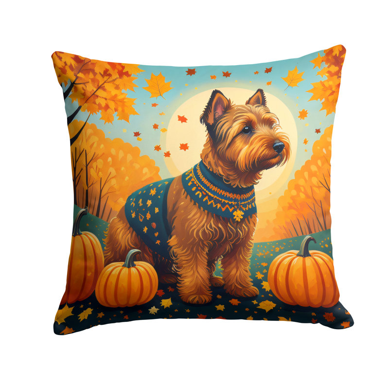  Coussin décoratif Autre / Sans motif, 14 po x 14 po