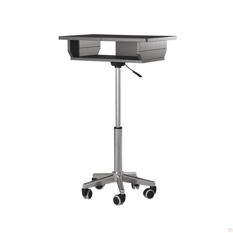 Table pliante pour ordinateur portable, graphite
